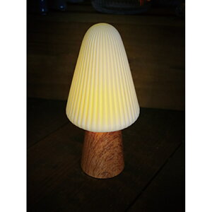 Cg  u^  LEDCg LED [ LUMO Z~bNCg l킢 IV e[uCg Z~bN CeA  R[hX Q L q Vv Rp