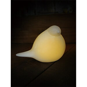 Cg  u^  LEDCg LED [ LUMO Z~bNCg l킢 IV e[uCg Z~bN CeA  R[hX Q L q Vv Rp