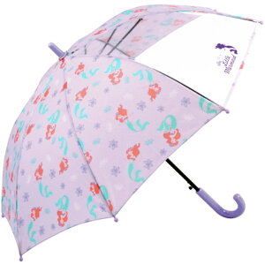 P qp 50Z`  S ۂ 䂳 ǂp j̎q ̎q v OXt@Co[ 50cm  LN^[ fBYj[ AG Ai X^[YCN gCXg[[ Xk