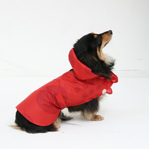  C R[g   pCR[g C|` hbO|` k ^p Ԃ^Cv 392plusm TL[jvXG [|[`t hbg LbY q NR[