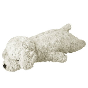  ʂ  ܂ ˂ނ˂ރAj}Y M ܂  NbV ܂ v~A˂ނ˂ރAj}Y Q LIV HEART Ԃ͂ n  lR L ˂   Ck 