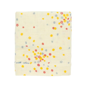 唻 K[[   ǂ Q 100  Rbg K[[Pbg xr[ Ԃ qǂ V ʋC  2dK[[ 唻  ӂ _炩 oYj 蕨 Mtg kontex R