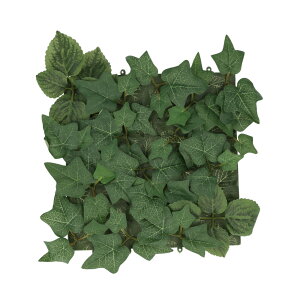 tFCNO[ Ǌ|  ctG}  CeA ϗtA tFCN lHϗtA lHA L R h A[eBtBVO[ C~e[VO[ ECLIA GNA  