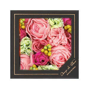  Mtg   蕨 v[g Mtg{bNX oXy^ ̓  ԑ j LO LOi Champ de Fleurs V h t[ OBEGN01 Brise uY Bavard o@[ Priere v
