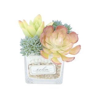 A ϗtA tFCN s  LA[eBtBVO[ CTG}   ECLIA GNA CeAO[ 񂹐A |bg tFCNO[ CeA lHA ͂