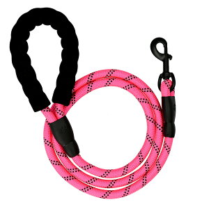 [h   ^ xbg ^ hbN[h p[h  ^    _炩 y  ϋv tbN  Ck U  킢