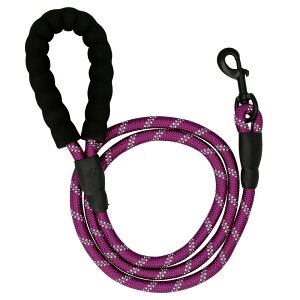 [h   ^ xbg ^ hbN[h p[h  ^    _炩 y  ϋv tbN  Ck U  킢