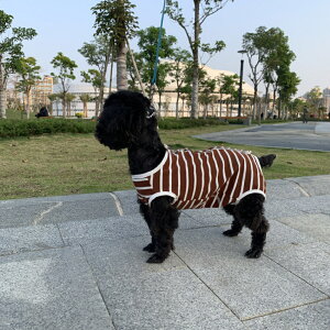 術後服 犬 定番 つなぎ 背中 ボタン 猫 伸縮性 ロンパース カバーオール 犬服 猫服 薄手 ストライプ ペットウェア 傷舐め防止 手術痕保護 介護 乳離れ いぬ イヌ ねこ ネコ