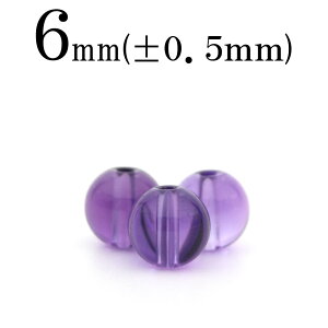 ySizN[|+P20zt331 y1zAWXgij 6mmۋ ۃr[Y 10036306p[Xg[ o VR  j fB[X Y