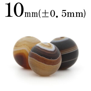 yLuckyZ[JÁzt1186 y1zy󏭁zR[q[AQ[gij 10mmۃr[Y 10042310p[Xg[ o VR  j fB[X Y