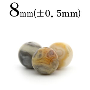 yX[p[SALE/50%OFFzt2151 ySzy1zNCW[[XAQ[giCAmEj 8mmۋ ۃr[Y 10059815p[Xg[ o VR  j fB[X Y