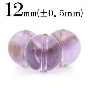 ySizN[|+P20zt1566 y1zt@gAg ij12mmۋ ۃr[Y 10061286p[Xg[ o VR  j fB[X Y