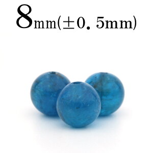 ySALE/70%OFFN[|zt2524 y1z5A Xu[Ap^Cg 8mmۋ ۃr[Y 10061483p[Xg[ o VR  j fB[X Y