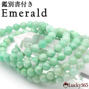 yX[p[SALE/50%OFFzyʐ^i ӕʏtzy1zIׂ5 4A Gh 7mmuXbg 10068635VR p[Xg[  j fB[X Y yMtgΏہz