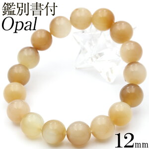 MC1316 yӕʏtzVRIp[ 12mmʐ^i1_ uXbgVR p[Xg[  j fB[X Y yMtgΏہz