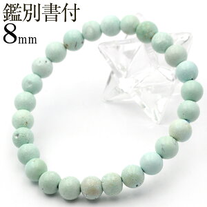 MM683 VR ^[RCYigR΁j 8mmyʐ^i1_ ӕʏtzuXbgVR p[Xg[  j fB[X Y yMtgΏہz