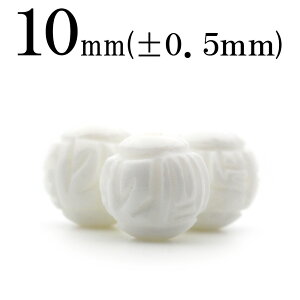 t518 y1zVRKCiVRLj 10mm蒤蒤 ۃr[Y yۖ͗lz 10068240p[Xg[ o VR  j fB[X Y