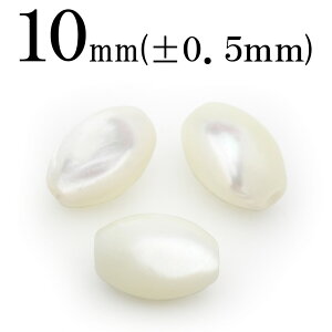 ySALE/60offN[|Lzt706 y1zzCg}U[Iup[ 10mm^r[Y yHHʁi[[gjz 10040184p[Xg[ o VR  j fB[X Y