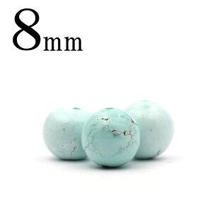 t2292y󏭁z y1zVR ^[RCYigR΁j 8mmۋ ۃr[Y 10060843p[Xg[ o VR  j fB[X Y