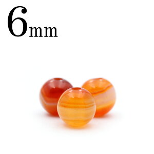 ySizN[|+P20zt395 y1z3A gV΁iT[hIjLXj 6mmۋ ۃr[Y 10039611VR p[Xg[ o  j fB[X Y