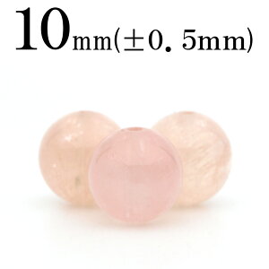 ySizN[|+P20zt2487 ySzy1z3A X탂KiCg 10mmۋ ۃr[Y 10061398 p[Xg[ o VR  j fB[X Y