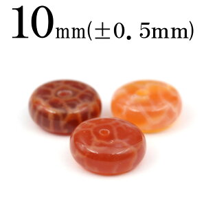 yX[p[SALE/50%OFFzt966 y1zt@CA[AQ[gigΉj 10mm{^Jbg 10041589p[Xg[ o VR  j fB[X Y