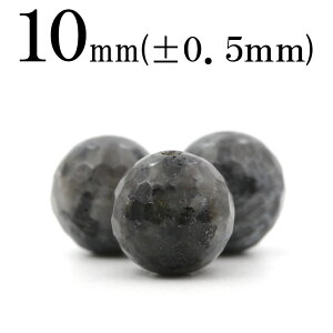 ySizN[|+P20zt1488 y1zrJCg 10mm128ʃJbgۃr[Y 10036786p[Xg[ o VR  j fB[X Y