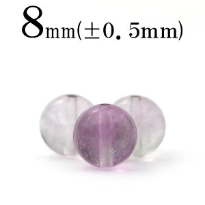 yX[p[SALE/50%OFFzt749 y1zp[vt[Cg 8mmۋ ۃr[Y 10040895p[Xg[ o VR  j fB[X Y