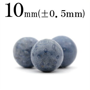 yubNtCf[SALEzt366 ySzy1zTSiXAR[j 10mmۋ ۃr[Y 10036470p[Xg[ o VR  j fB[X Y