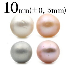 yX[p[SALE/50%OFFzt1353 y1zIׂ4 ^iWp[j 10mmۋ ۃr[Y |eg^ 10037000p[Xg[ o VR  j fB[X Y