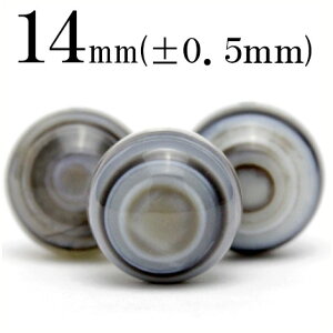 yLuckyZ[JÁzt864 y1zS V΁i ACAQ[gj 14mmۋ ۃr[Y 10041009p[Xg[ o VR  j fB[X Y