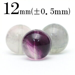 yubNtCf[SALEzt538 y1z[Fp[v`zCg t[Cg 12mmۋ ۃr[Y 10043619p[Xg[ o VR  j fB[X Y