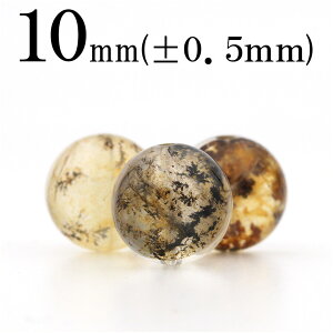 ySALE/70%OFFN[|zt1993 y1zfheBbNNH[cifhCgj 10mmۋ ۃr[Y 10049371p[Xg[ o VR  j fB[X Y