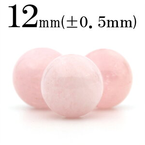 yubNtCf[SALEzt1961 ySzy1z3A KiCg 12mm10060486 p[Xg[ o VR  j fB[X Y