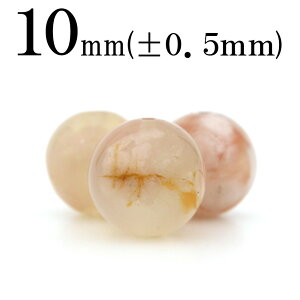 yubNtCf[SALEzt2071 ySzy1z`F[ubTAQ[giAmEj 10mmۋ ۃr[Y 10060956p[Xg[ o VR  j fB[X Y