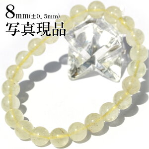 yubNtCf[SALEzʐ^i 3A rAOXi覐΁j 8mmuXbg 10069007VR p[Xg[ LL qJ  j fB[X Y yMtgΏہz