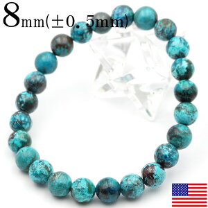 yLuckyZ[JÁzk14 AEgbgAJY N\R 8mm ʐ^i1_ uXbg VR p[Xg[  j fB[X Y yMtgΏہz