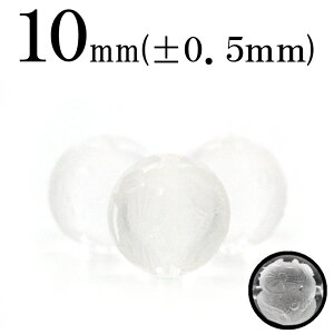 y}\SALEzt488 y1ziNH[cj 10mm ۃr[Y yLz 10038771p[Xg[ o VR  j fB[X Y