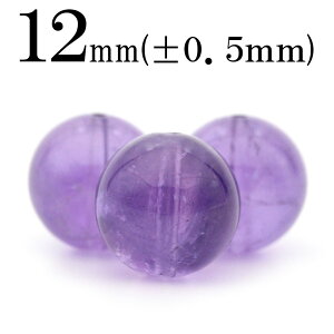 ySizN[|+P20zt830 y1zVR4A AWXgij 12mmۋ ۃr[Y 10041139p[Xg[ o VR  j fB[X Y