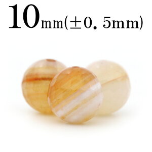 yLuckyZ[JÁzt483 y1zT[hIjLX 10mm128ʃJbg 10038700p[Xg[ o VR  j fB[X Y