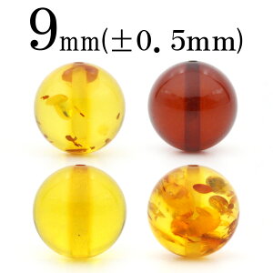 yX[p[SALE/50%OFFzt513 yLzy1zVR Ao[i߁ARnNj 9mmۋ ۃr[Y 10042594p[Xg[ o VR  j fB[X Y