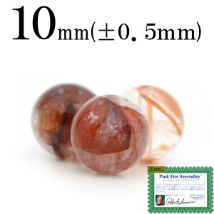 yX[p[SALE/50%OFFzt1853 ySzy1zH&EKi sNt@CA[A[cCg 10mmۋ ۃr[Y 10060420p[Xg[ o VR  j fB[X Y