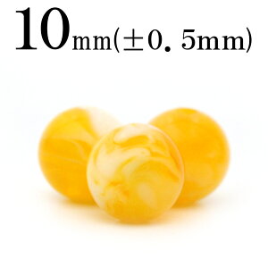 t115 ySzy1zCG[}[uAo[i߁ARnNj 10mmۋ ۃr[Y 10032611p[Xg[ o VR  j fB[X Y