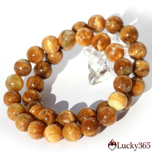 yX[p[SALE/50%OFFzy/ogCYzLbcAC gW}CgIp[ 11mmuXbg 10069672 S[fIp[ VR p[Xg[  j fB[X Y