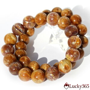 yLuckyZ[JÁzy/ogCYzLbcAC gW}CgIp[ 12mmuXbg 10069673 S[fIp[ VR p[Xg[  j fB[X Y