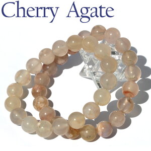 yX[p[SALE/50%OFFz`F[ubTAQ[giAmEj 10mmuXbg 10069179VR p[Xg[ o VR  j fB[X Y yMtgΏہz