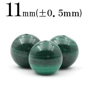 ySizN[|+P20zt1074 yLzy1z}JCg 11mmۋ ۃr[Y 10069042p[Xg[ o VR  j fB[X Y