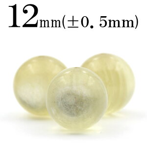 yX[p[SALE/50%OFFzt1200 ySzy1zS[f}CJitSpCgj 12mmۋ ۃr[Y 10069112p[Xg[ o VR  j fB[X Y