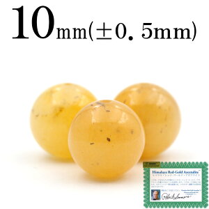 yubNtCf[SALEzt1541 y1zH&EKi q}Y bh S[hA[cCg 10mmۋ ۃr[Y 10060374p[Xg[ o VR  j fB[X Y