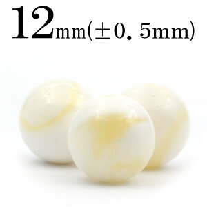 t1078 y1zCG[}U[Iup[ 12mmۋ ۃr[Y 10042012p[Xg[ o VR  j fB[X Y